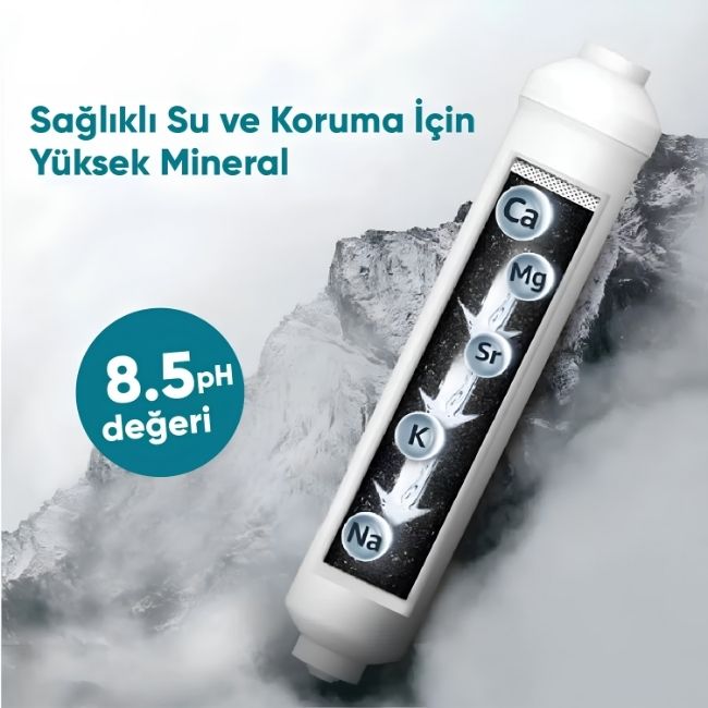 Servis Usta